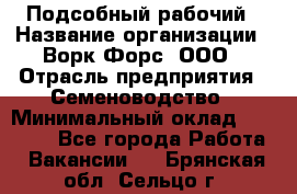 Подсобный рабочий › Название организации ­ Ворк Форс, ООО › Отрасль предприятия ­ Семеноводство › Минимальный оклад ­ 30 000 - Все города Работа » Вакансии   . Брянская обл.,Сельцо г.